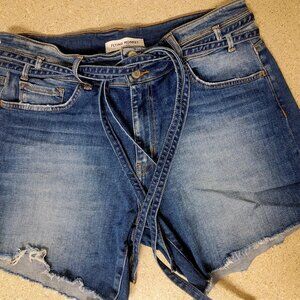 Flying Monkey Jean Shorts